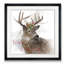 Winter Wonderland Deer - impression-33348862-33488630