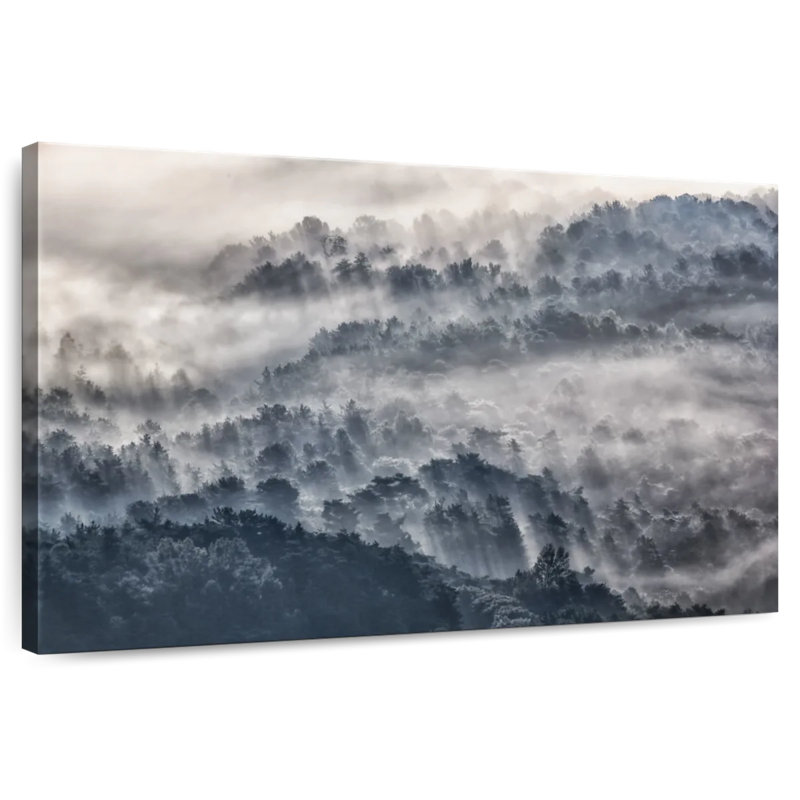 Forêt sombre d'Alvord, H 24 po x l 36 po