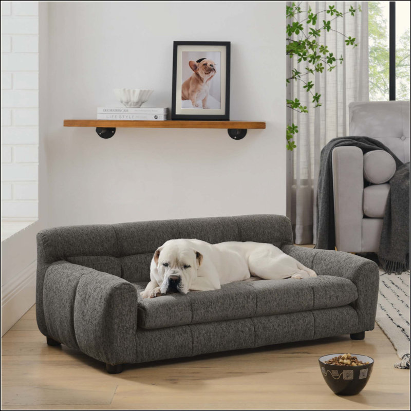 Canapé doux et confortable avec dossier et accoudoirs, adapté aux canapés rectangulaires modernes pour petits et moyens chiens