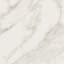 Carreau de porcelaine mate pour plancher et mur 12 po x 12 po Daltile Perpetuo (13 pièces par carton) (12,22 pieds carrés par carton)-71440922