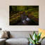 «Forest Treasures», reproduction de photo sur toile-29171255-72778596-72778590