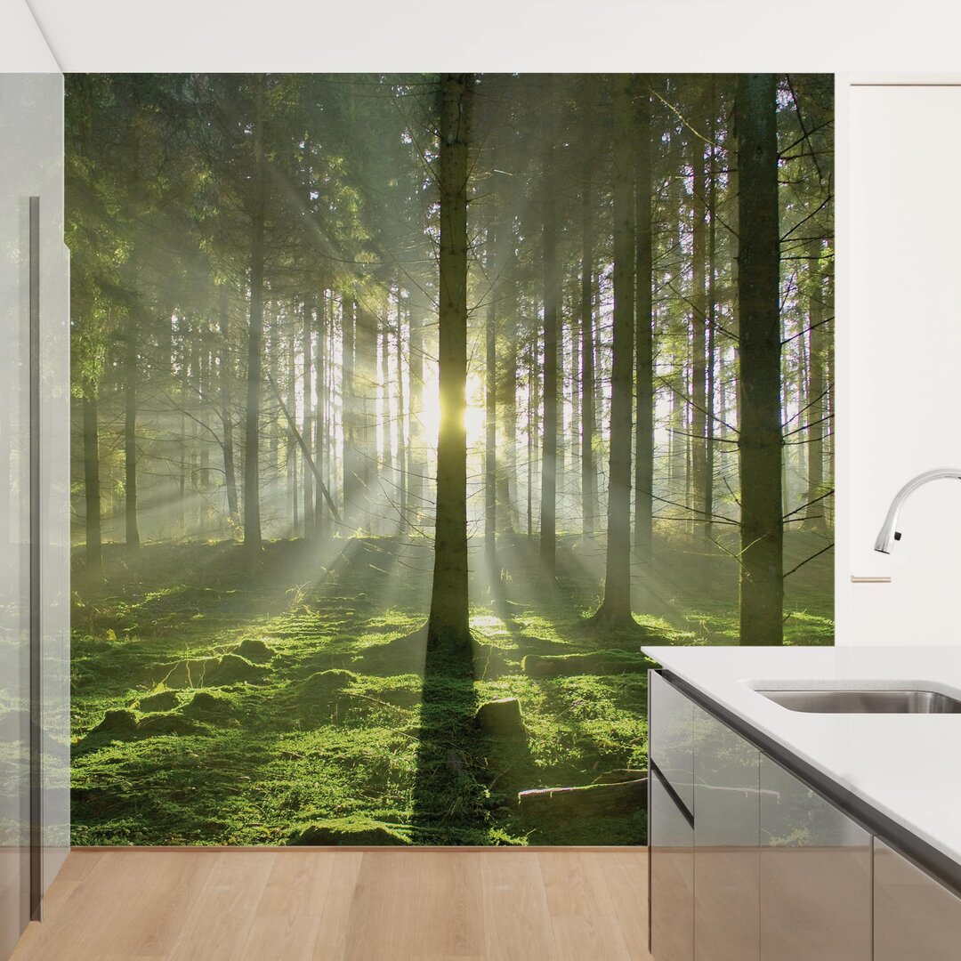 Matte Fototapete Frühlingsmärchen 2,88 m x 288 cm