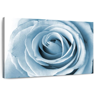 Hardie rose blanc nacré