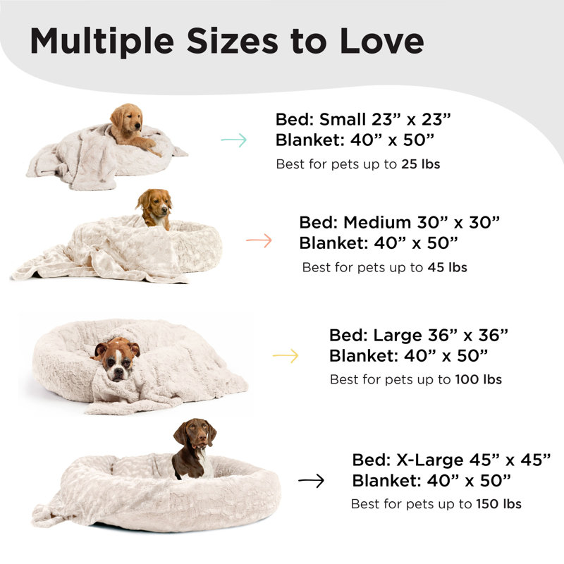 Lit / jeté Best Friends by Sheri Bundle The Original Calming Lux Donut Cuddler, Grand (l 31 po x P 41 po x H 2 po), Huître