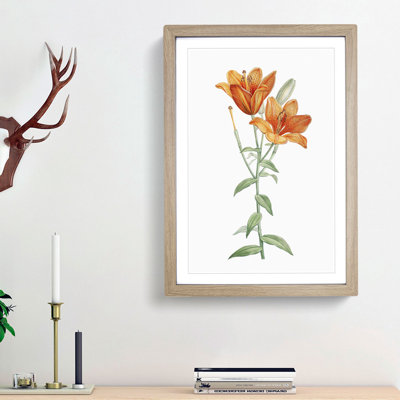 Orange Lily Flowers by Pierre-Joseph Redoute - Picture Frame Painting Print