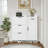 Shoe Storage Cabinet