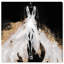 Night For Stars Elegance - impression sur toile tendue-25472208-66932443