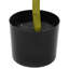 300cm Plant