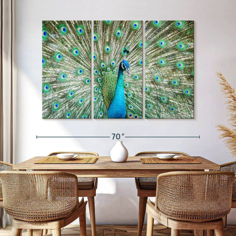Brampt Peacock Displaying Tail, 42" H x 65" W