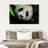 Panda Surprise-1004256818