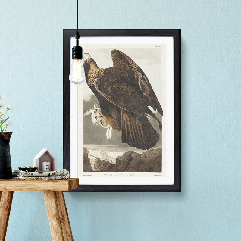 Golden Eagle by John James Audubon - Picture Frame Painting Print, 48cm H x 36cm W x 2cm D, Black Framed