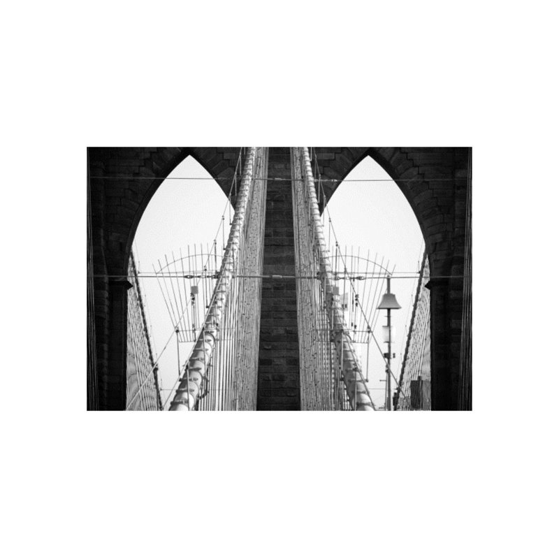 Concrete Jungle II Print by Sofia Fox, Outdoor, 24" H x 35" W