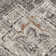 Maxy Oriental Indoor Rug