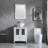Molti 24.8'' Single Bathroom Vanity Set with Mirror-1649804218