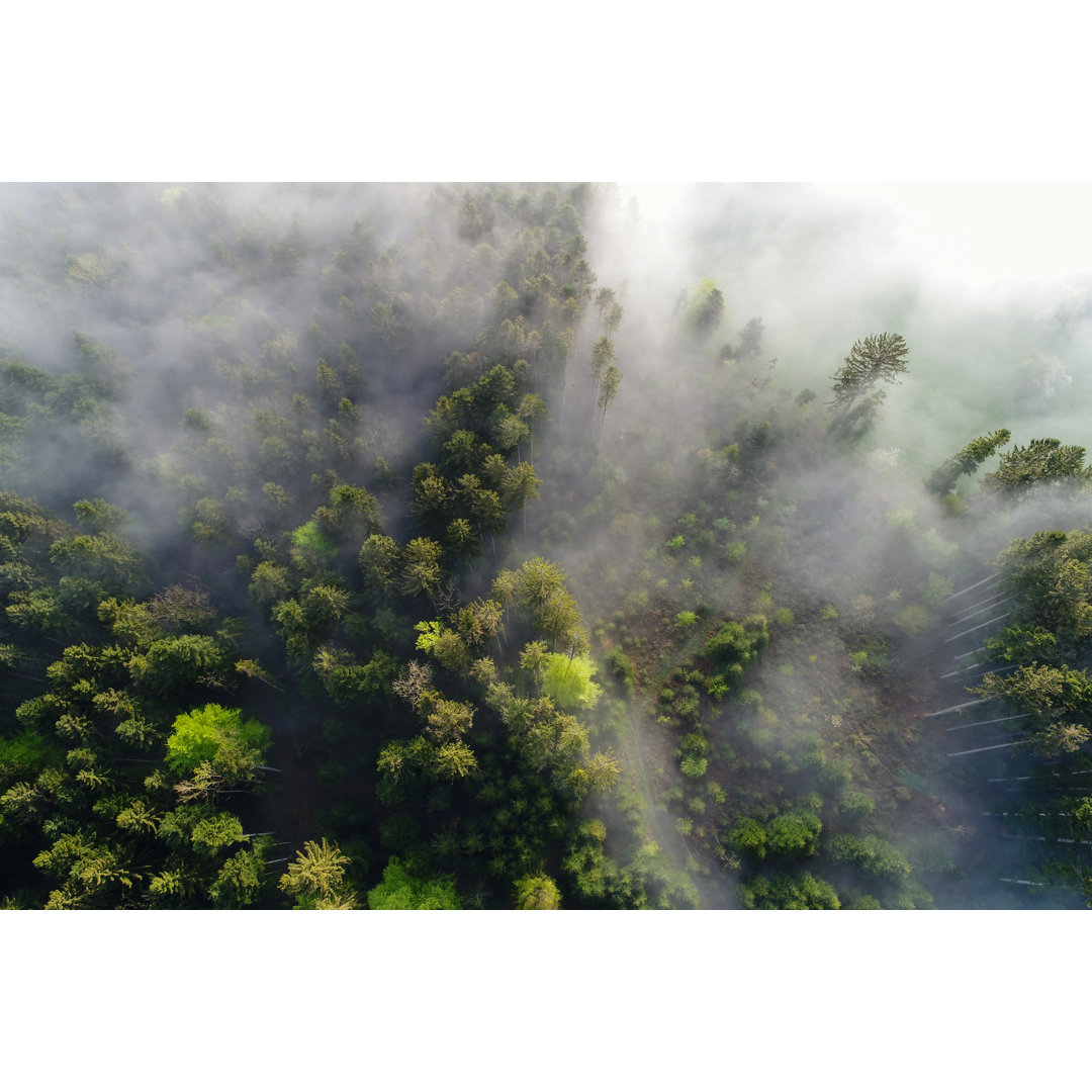Aerial View Fog Clouds Pulling On A Spring Morning In Switzerland Through The Forest by Frizi - Wrapped Canvas Print