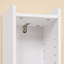 Wall Mounted Required Bathroom Cabinet