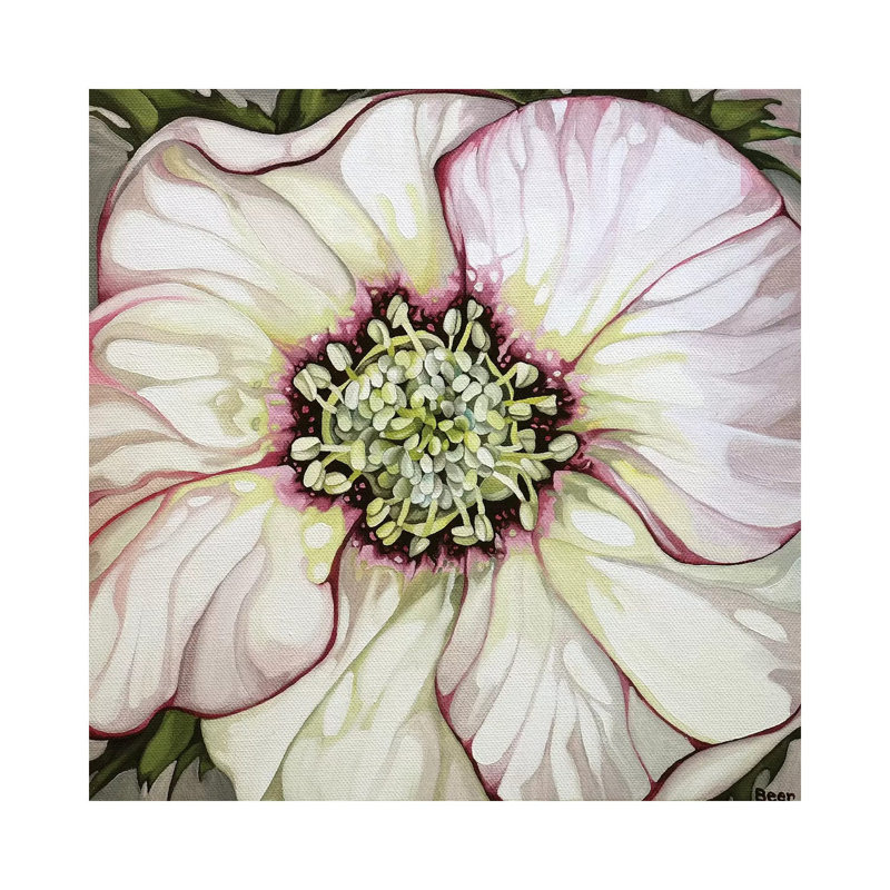 Hellebore by Jo Beer - Wrapped Canvas Print, 45.72 cm H x 45.72 cm W x 3.175 cm D