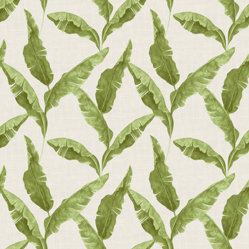 10m x 52cm Matte Wallpaper Roll, Green