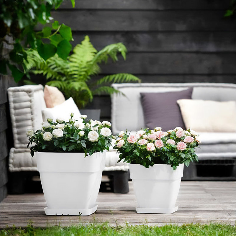 Pot Planter, 36cm H x 35cm W x 35cm D