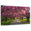 Fleurs de cerisier Harnek Brooklyn Park-108913156
