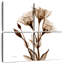 Harnek Gentian In Sienna-109036524
