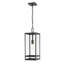 Lanterne suspendue d'extérieur 1 lumière noire Sylmar-551692792