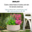 Fibreglass Plant Pot-39265647-39265644