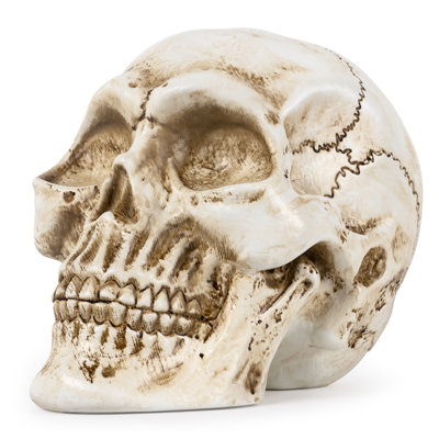 Skull Decor Statue – Gothic Resin Figurine With Non-Slip Base, Halloween Decoration For Home, Office, Bar, Bookshelf, Rock & Gothic Style Collectible Gift