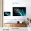 Plume sarcelle Kerner Dewy-108730449