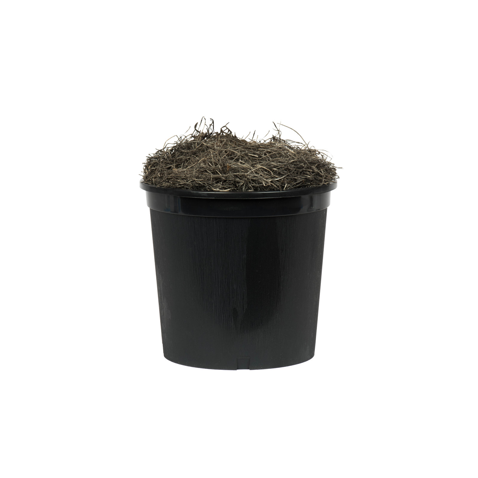 48'' Faux Foliage Plant in Pot