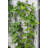 Fabrienne 77'' H x 23.5'' W Iron Arched Trellis