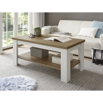 Brasher Solid Wood Coffee Table with Storage