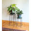 Support pour plante Chivan-1150437749