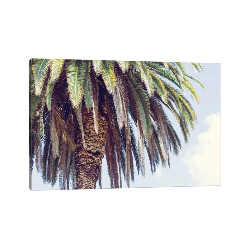 Hollywood by Ann Hudec - Wrapped Canvas Print, 20.32 cm H x 30.48 cm W