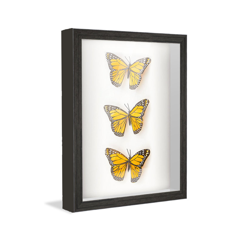 Cadre photo Alanni, Noir, L 17 po x H 25 po