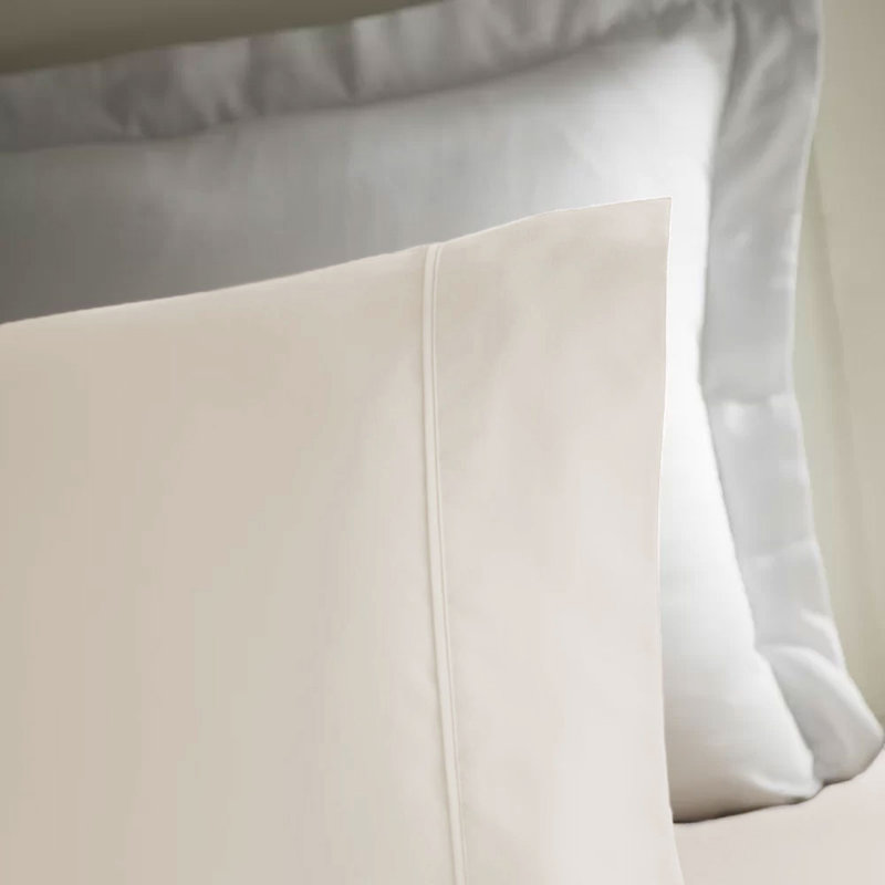 Wayfair Basics® 1800 Series Soft Microfiber Sheet Set, Queen Sheet Set with 2 Pillowcases, Coconut Milk