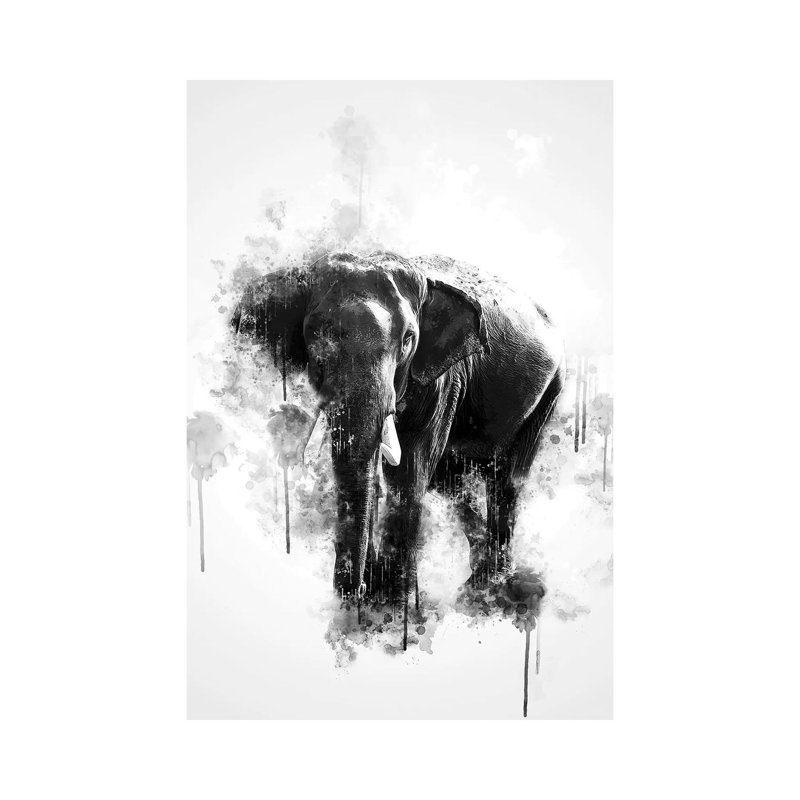 Elephant In Black And White by Cornel Vlad - Wrapped Canvas Painting, 20.32 cm H x 30.48 cm W