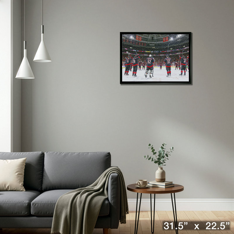 Carolina Hurricanes, encadré 20 x 29, célébrations