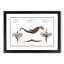 Seahorse & Sea Dragon by M.E. Bloch - Picture Frame Painting Print-55613730-55613732