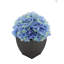 Arrangement d'hortensias en tissu synthétique bleu en pot-1553681571-1488260804