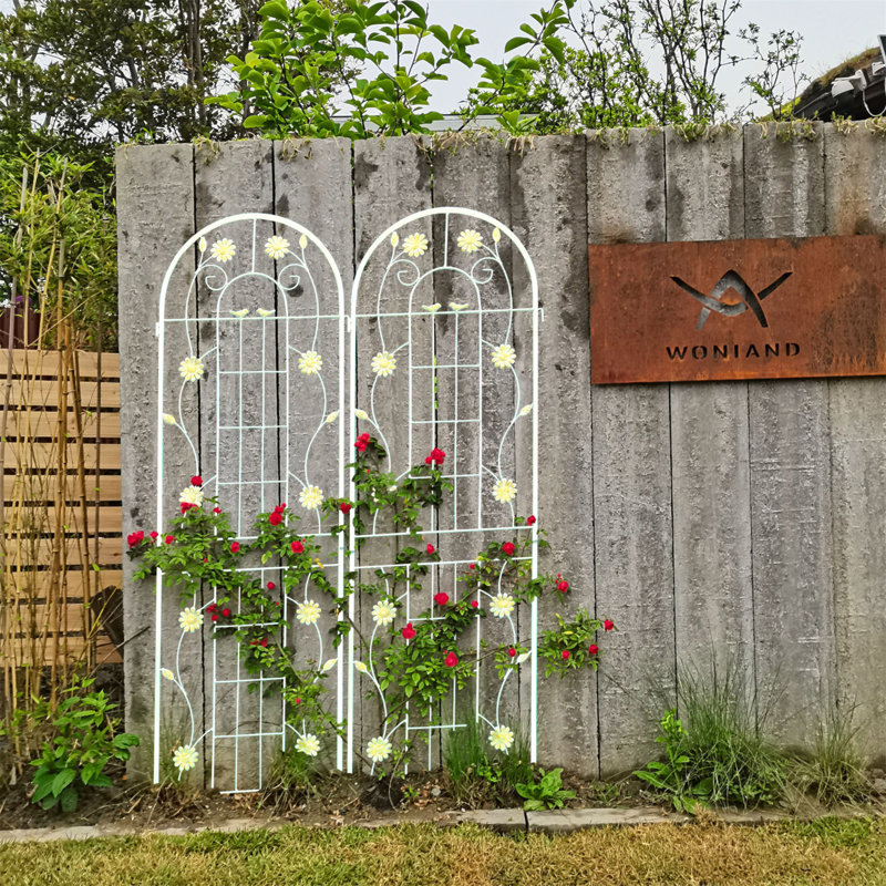 Paquet de 4 treillis de jardin en métal 71 po x 19,7 po antirouille pour plantes grimpantes, Blanc, crème
