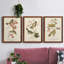Oiseau de riz Wandering, reproduction d'art sur toile-1813864136-1813864140