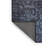 Oriental Indoor Rug-1000999472