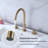 2-handle Bathroom Faucet-59810641