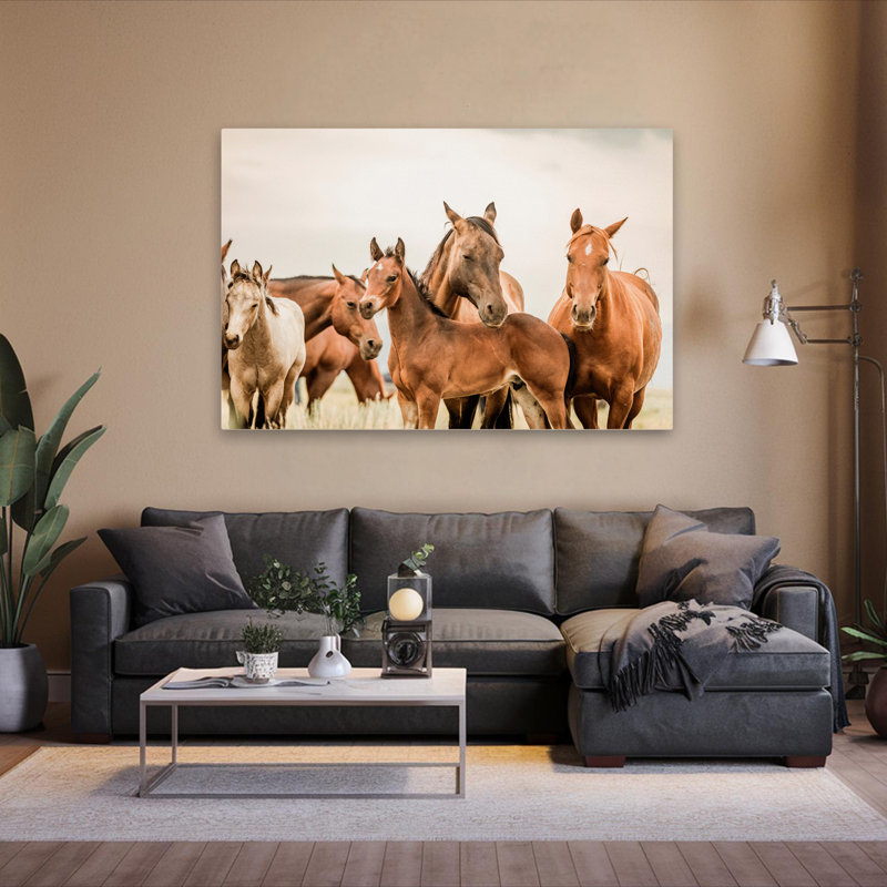 Hartville - photographie, animaux, faune, chevaux, art, H 40 po x l 60 po