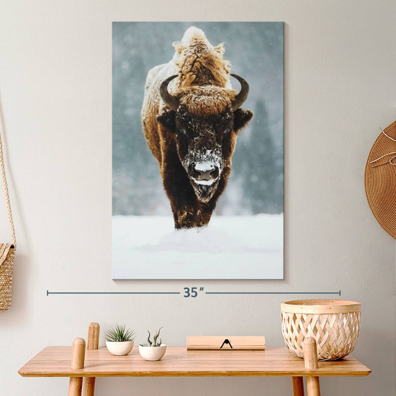 Impression sur toile Winter Buffalo, H 30 po x l 20 po x P 1,25 po
