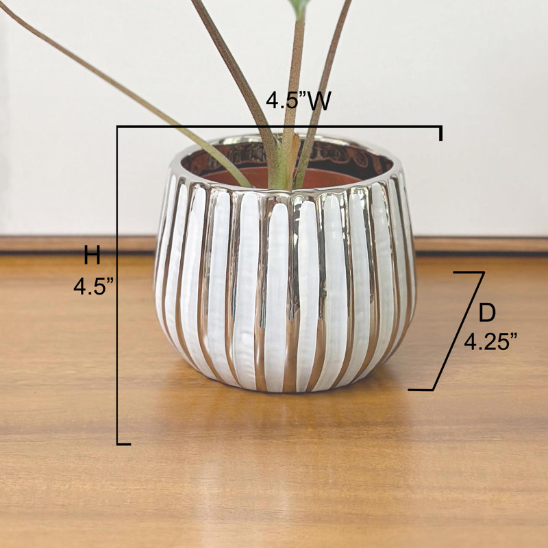 4" White and Chrome Ceramic Succulent Planter Pot