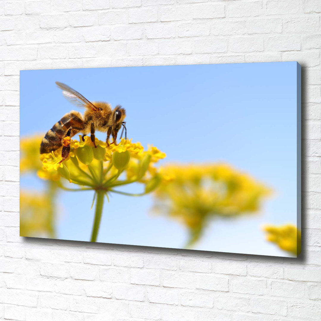 Biene auf einer Blume - Ungerahmte Kunstdrucke auf Leinwand