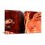 Paysage et nature Red Canyon Rock Formations-1339806249