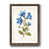 Papier, cadre noyer